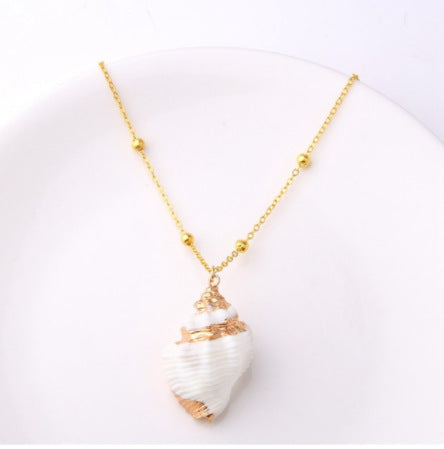 Sea  Shell Necklaces